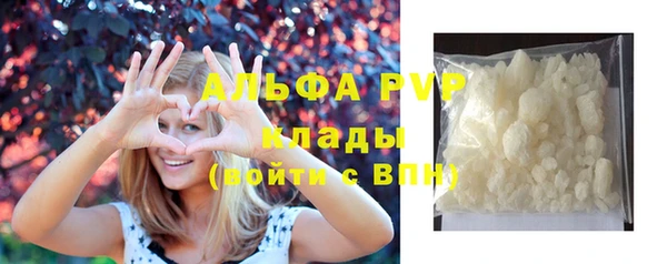 прущие грибы Нягань