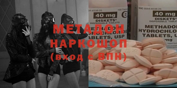прущие грибы Нягань