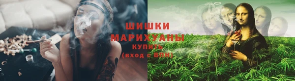 ешки Болотное