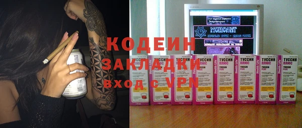 прущие грибы Нягань