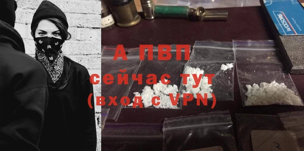 прущие грибы Нягань