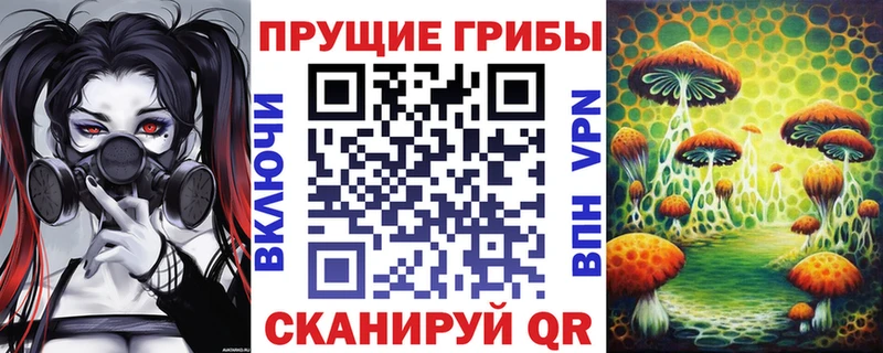 Псилоцибиновые грибы Psilocybe  Электроугли 